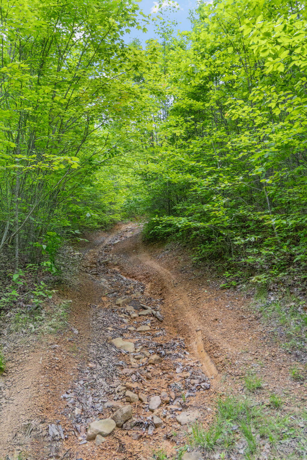 Rock Avenue End Of Avenue, Palmer, Tennessee image 10
