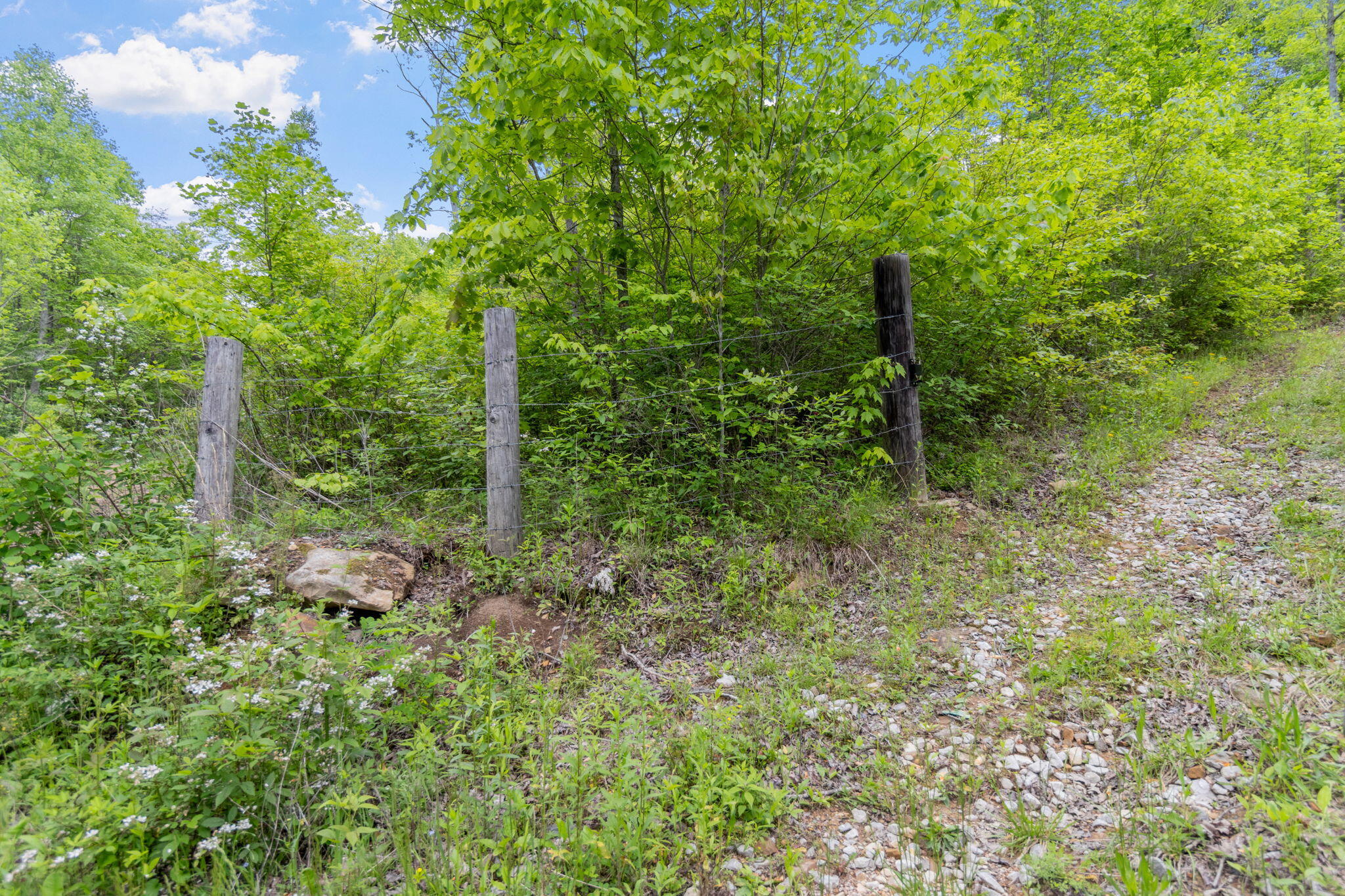 Rock Avenue End Of Avenue, Palmer, Tennessee image 16