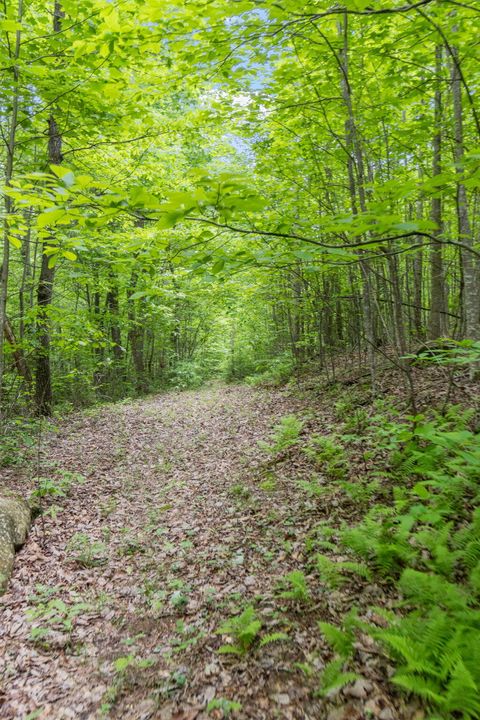 Tiny photo for 0 Rock Avenue End Of Avenue, Palmer, TN 37365 (MLS # 1513066)