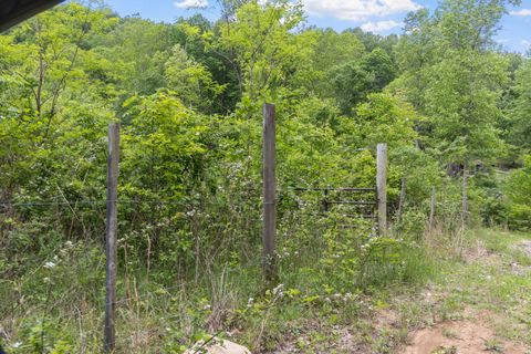 Tiny photo for 0 Rock Avenue End Of Avenue, Palmer, TN 37365 (MLS # 1513066)
