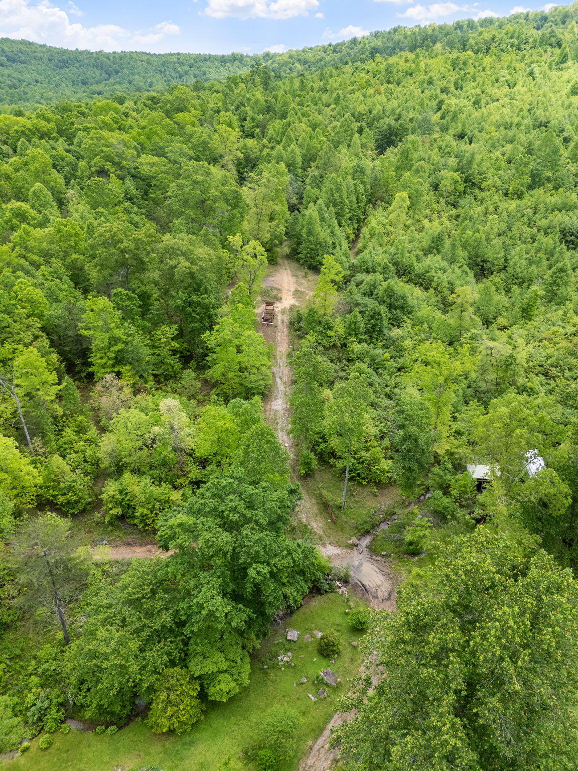 Rock Avenue End Of Avenue, Palmer, Tennessee image 7