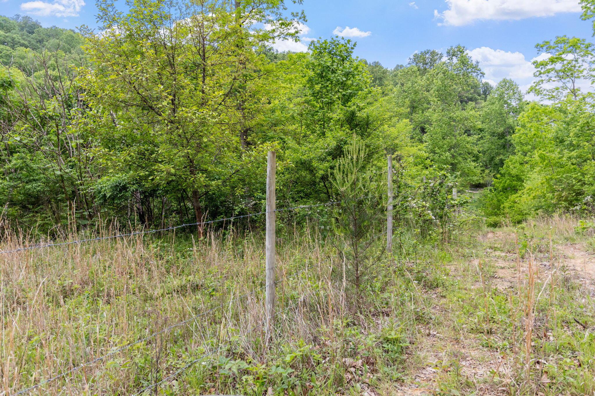 Rock Avenue End Of Avenue, Palmer, Tennessee image 14