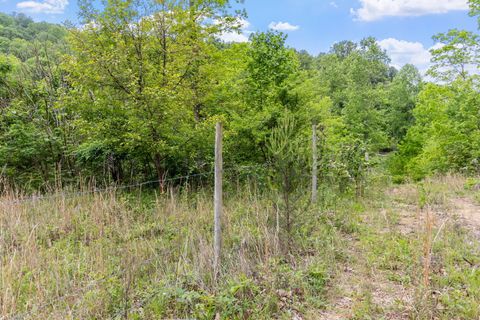 Tiny photo for 0 Rock Avenue End Of Avenue, Palmer, TN 37365 (MLS # 1513066)