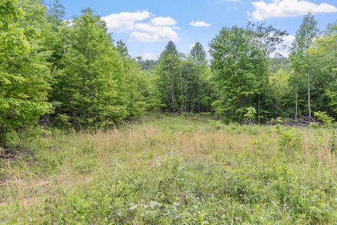 Tiny photo for 0 Rock Avenue End Of Avenue, Palmer, TN 37365 (MLS # 1513066)