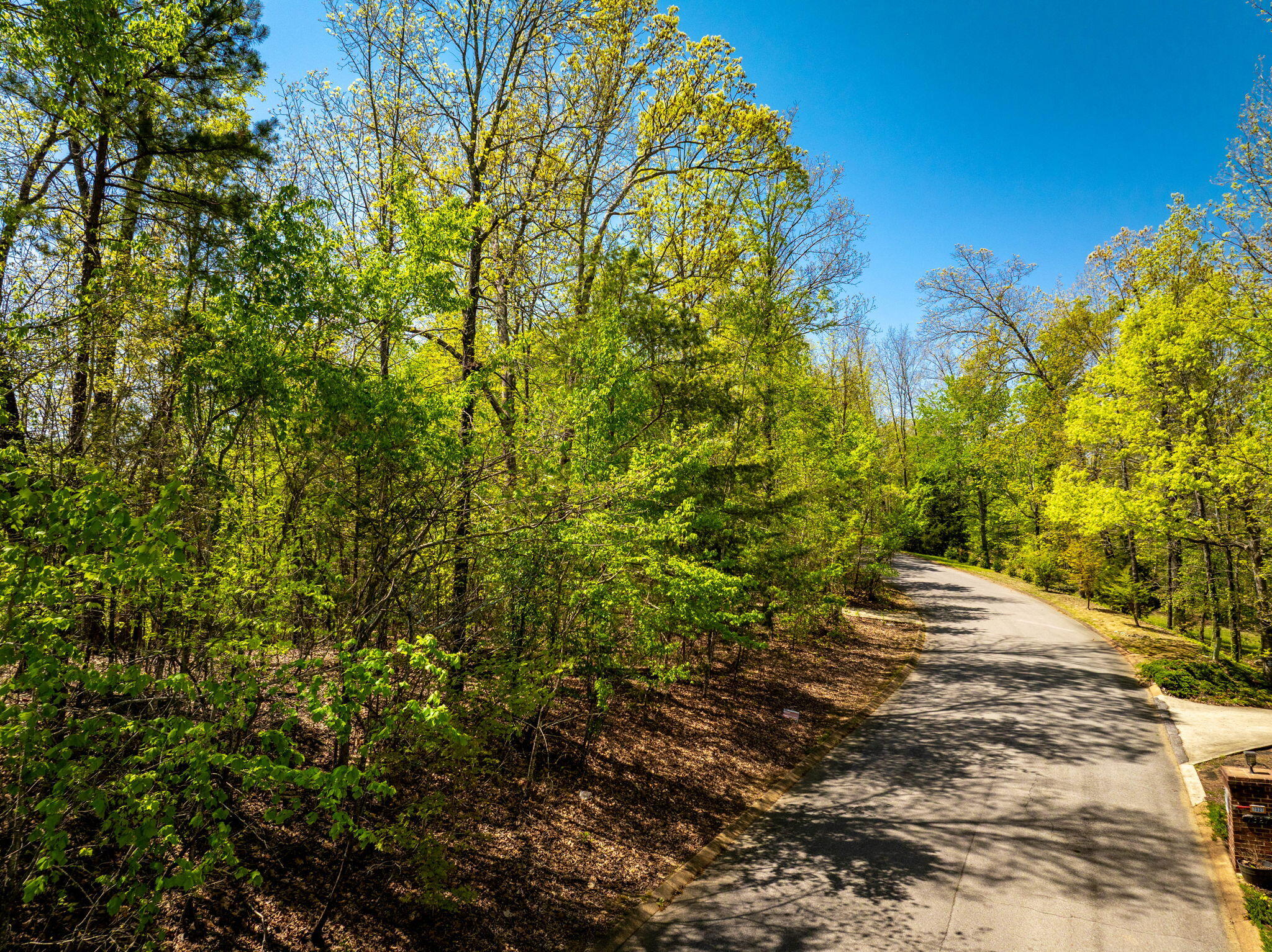 7328 Creek Ridge Drive, Harrison, Tennessee image 8