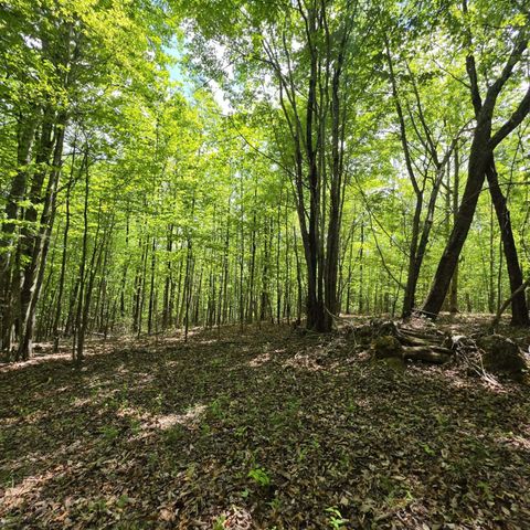 Vacant Land For Sale - LOT 15B Cluck Cove Road<br/> South Pittsburg, TN 37380