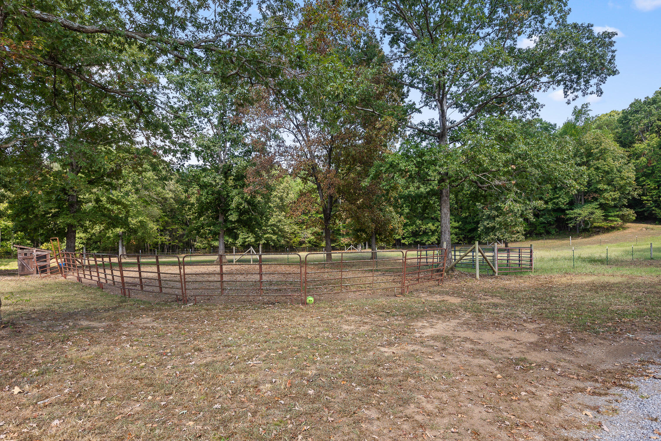 341 County Road 725, Riceville, Tennessee image 49