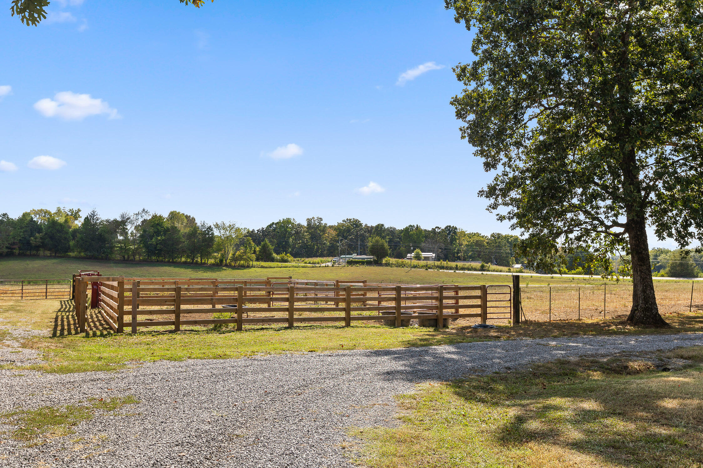 341 County Road 725, Riceville, Tennessee image 48