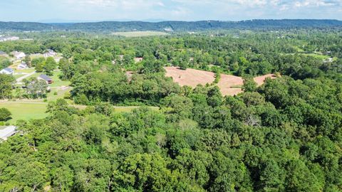 Tiny photo for 8014 Bork Memorial Drive, Ooltewah, TN 37363 (MLS # 1511302)