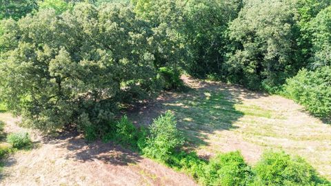 Tiny photo for 8014 Bork Memorial Drive, Ooltewah, TN 37363 (MLS # 1511302)