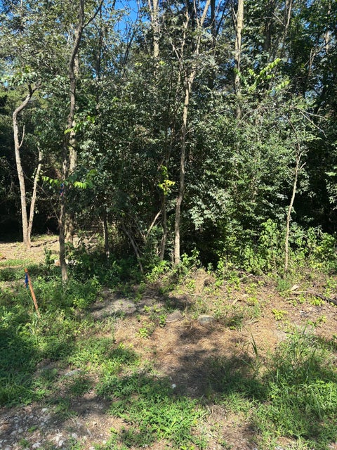 Photo of 00 Sulee Circle, South Pittsburg, TN 37380 (MLS # 1544124)