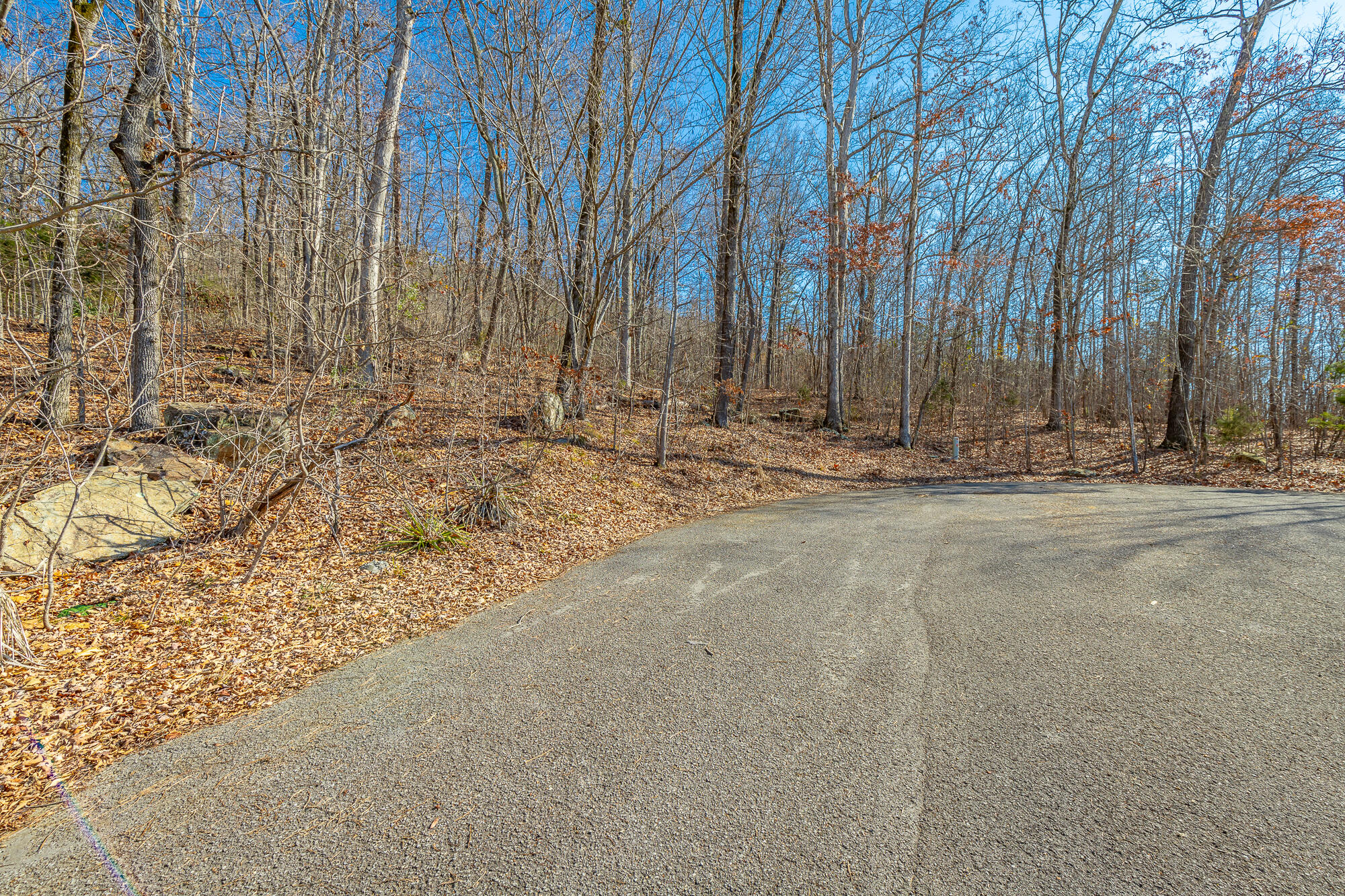 Myers Avenue, Guild, Tennessee image 2