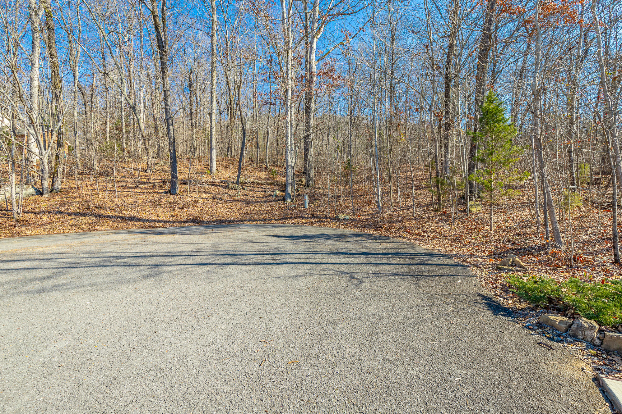 Myers Avenue, Guild, Tennessee image 5