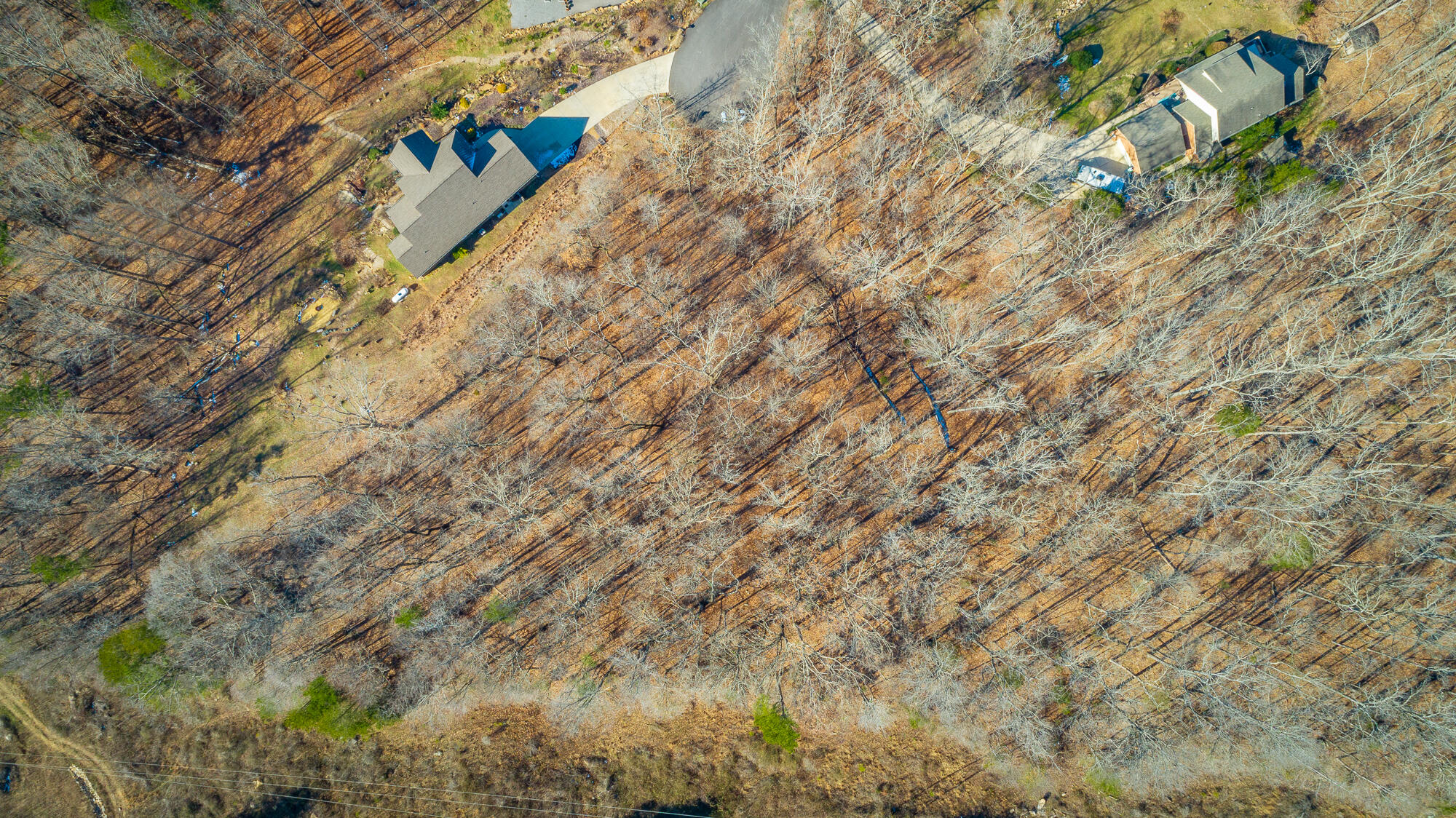 Myers Avenue, Guild, Tennessee image 38