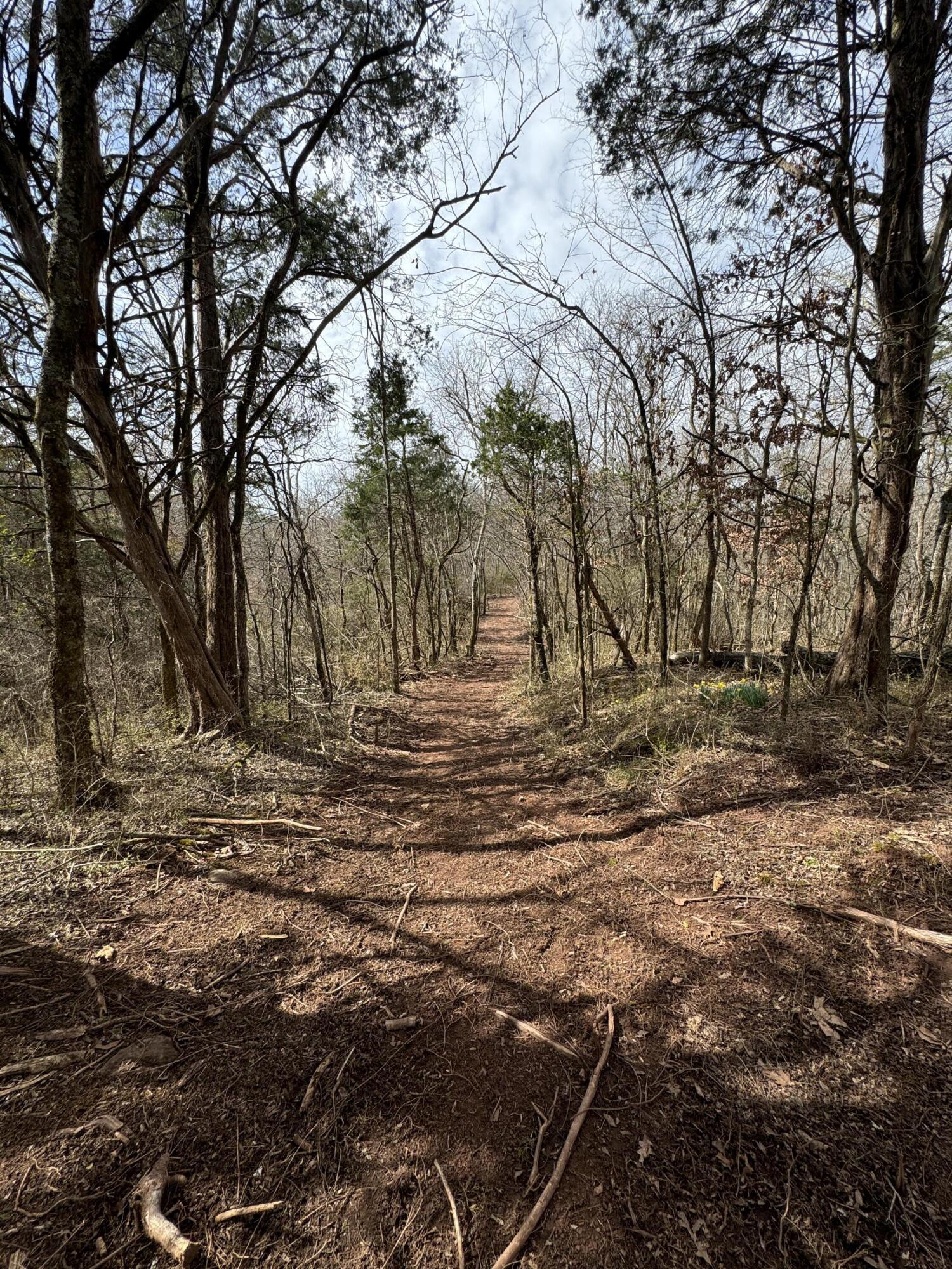 1620 Lundy Road, Knoxville, Tennessee image 17
