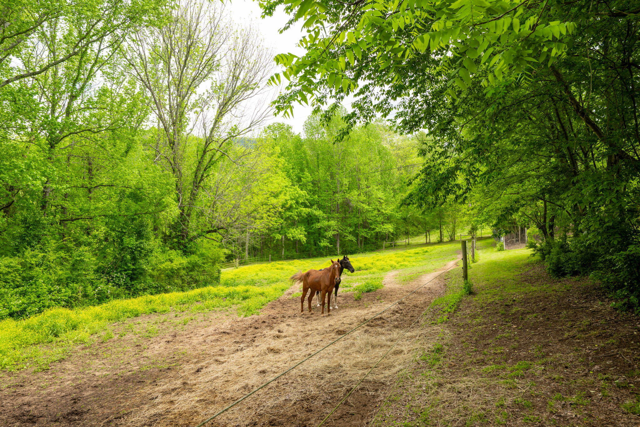 1628 Ketner Cove Road, Whitwell, Tennessee image 42