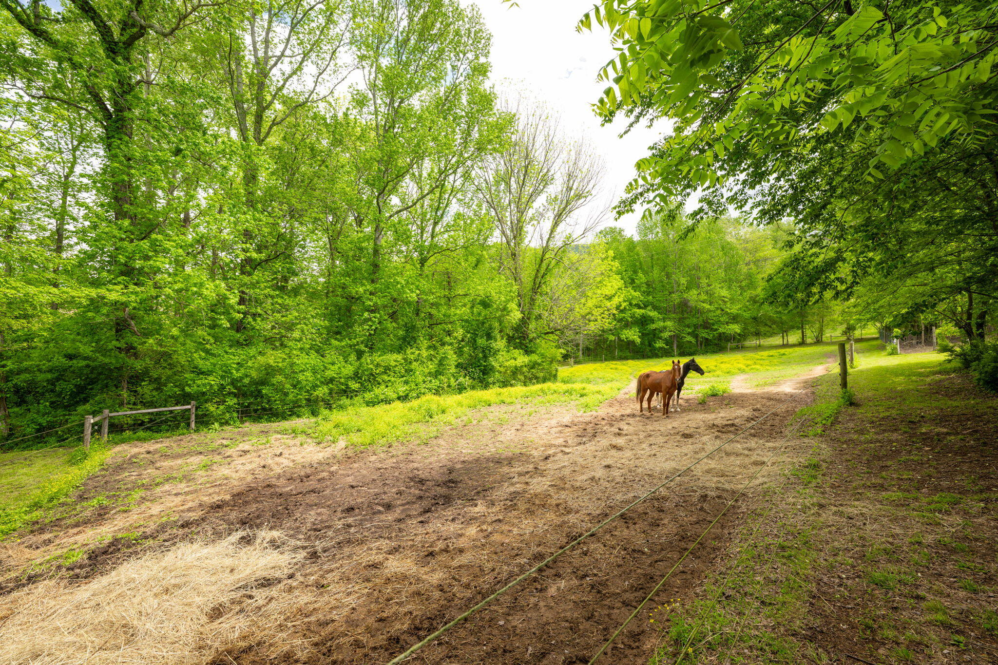 1628 Ketner Cove Road, Whitwell, Tennessee image 41