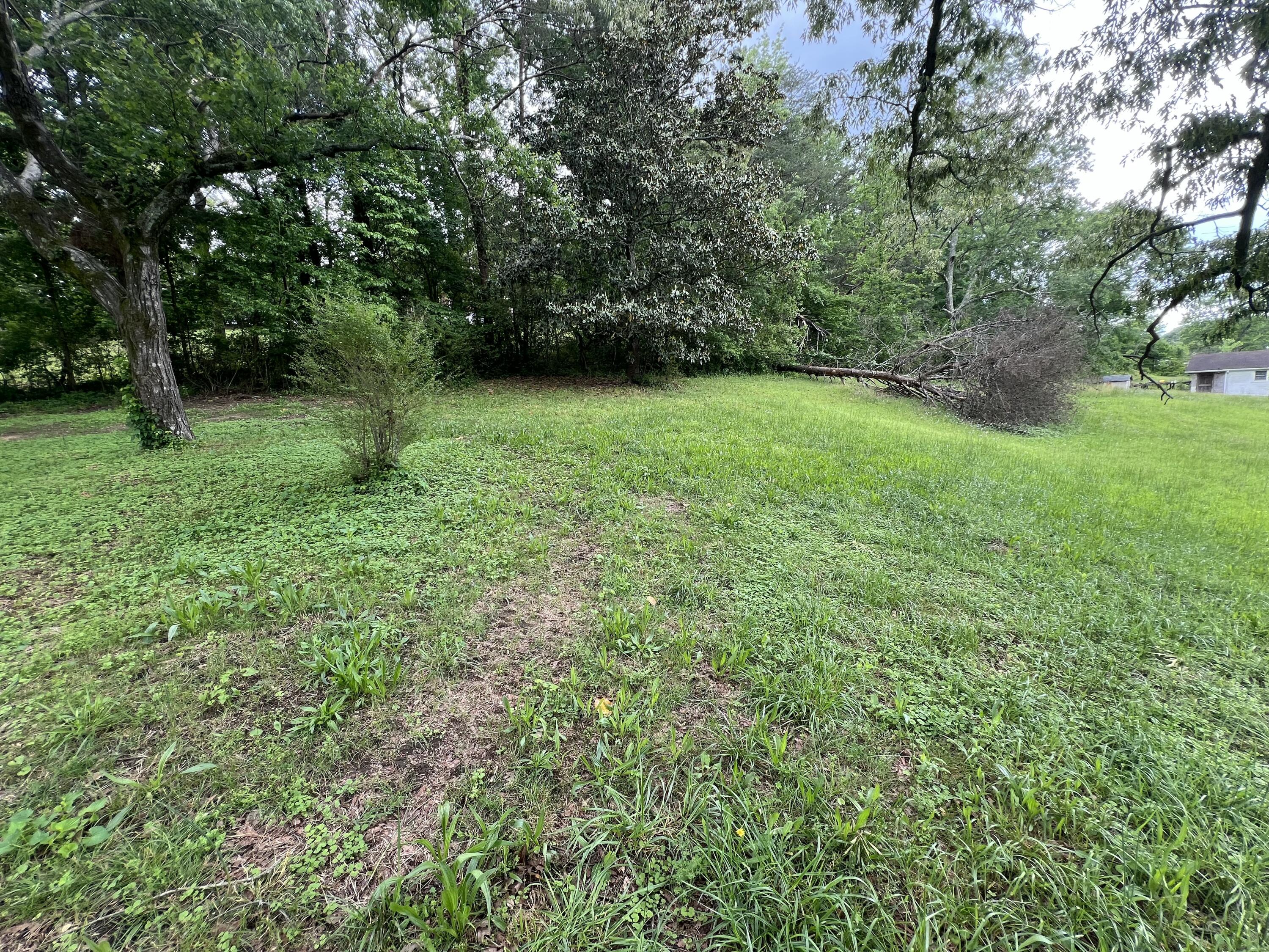 143 Short Hollow Road, South Pittsburg, Tennessee image 11