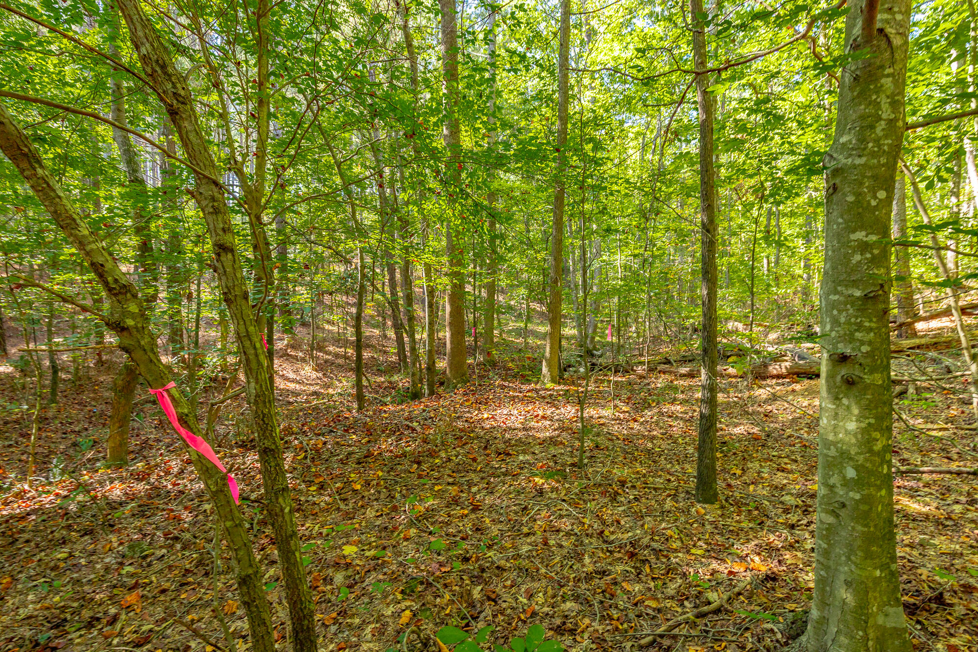 000 Houston Valley Road, Ringgold, Georgia image 30