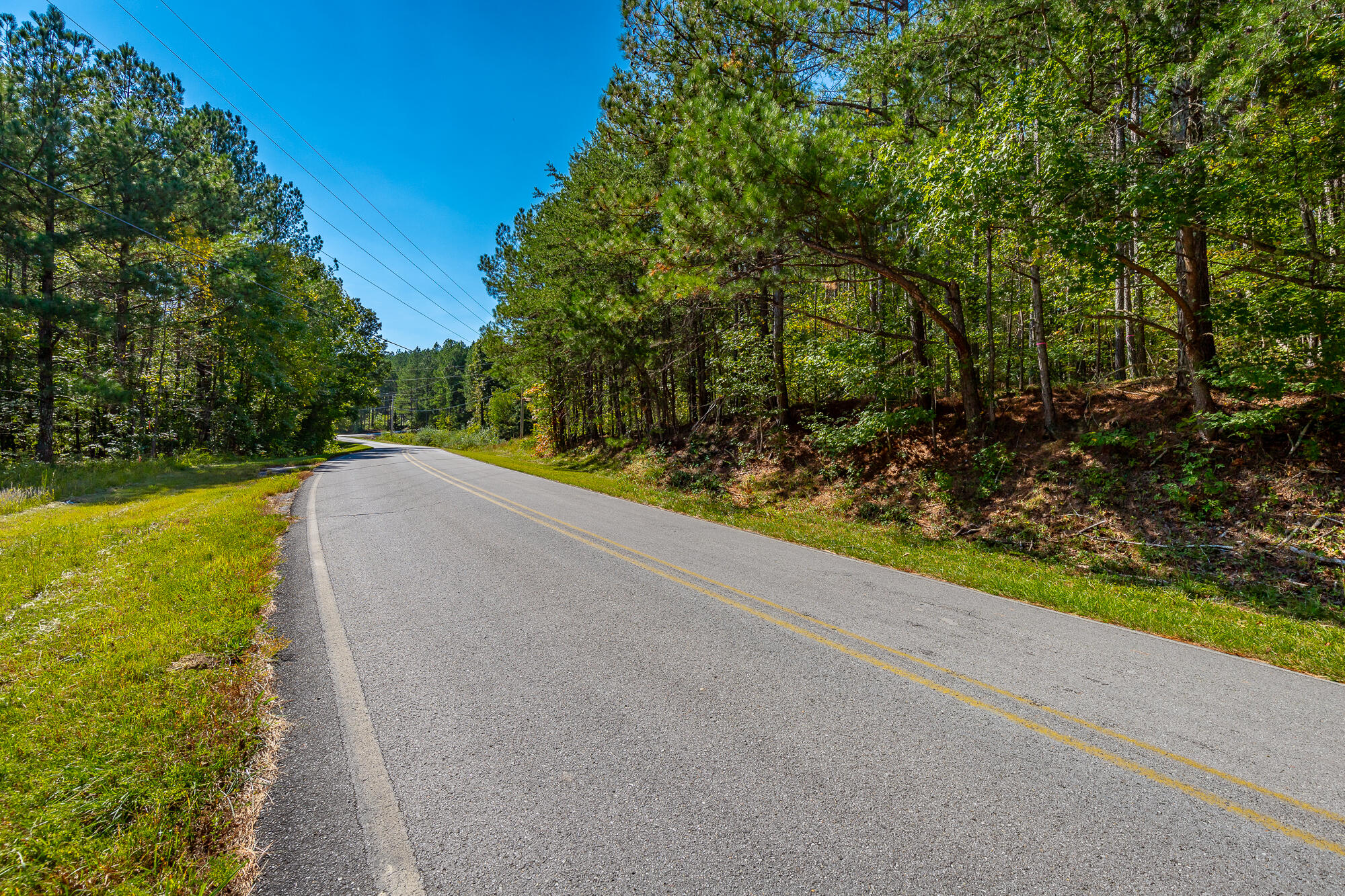 000 Houston Valley Road, Ringgold, Georgia image 6