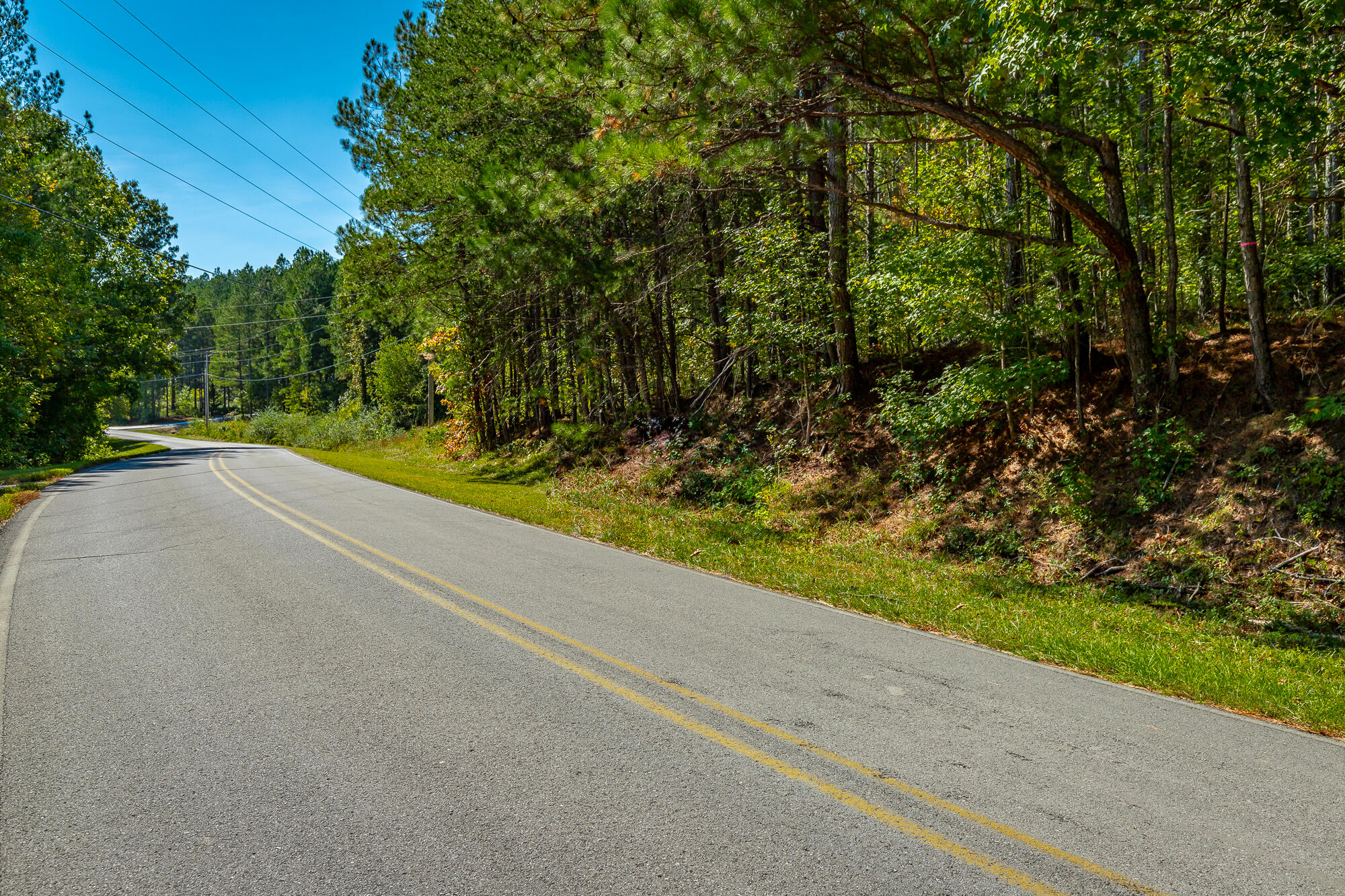 000 Houston Valley Road, Ringgold, Georgia image 7