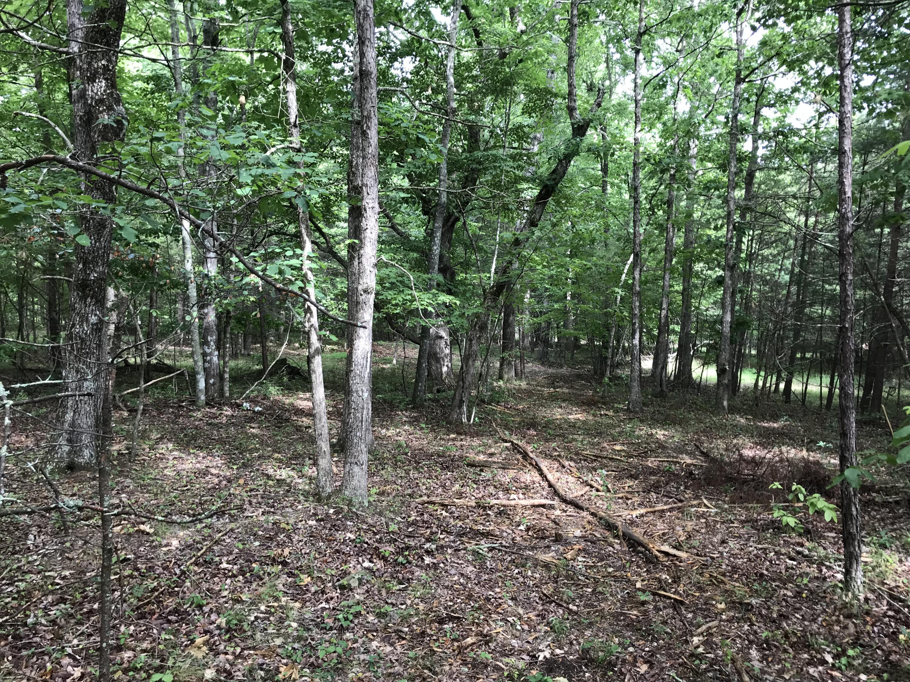 38 Quail Trl #38, Dunlap, Tennessee image 14