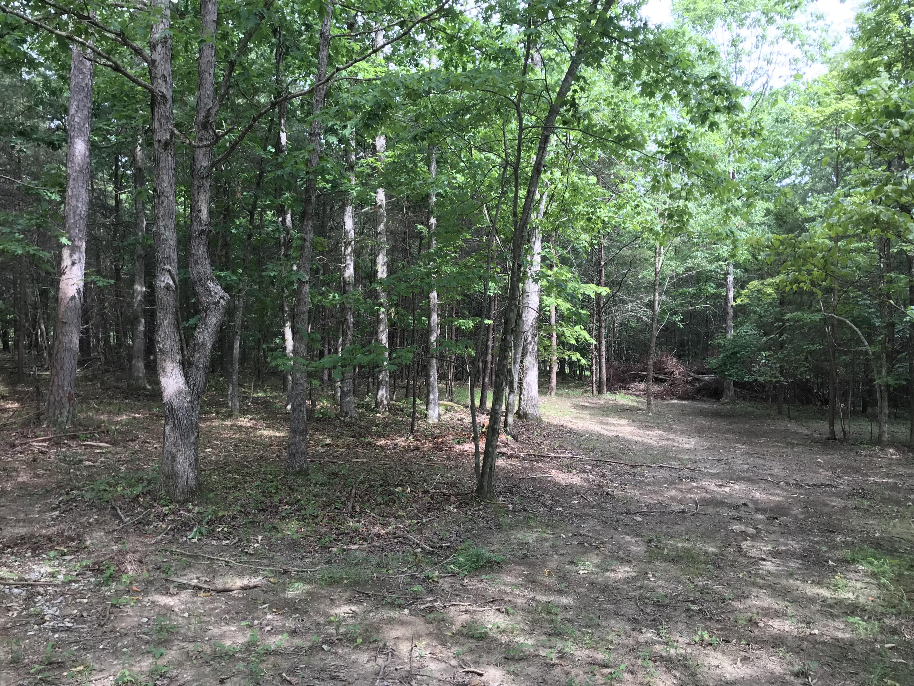 38 Quail Trl #38, Dunlap, Tennessee image 18