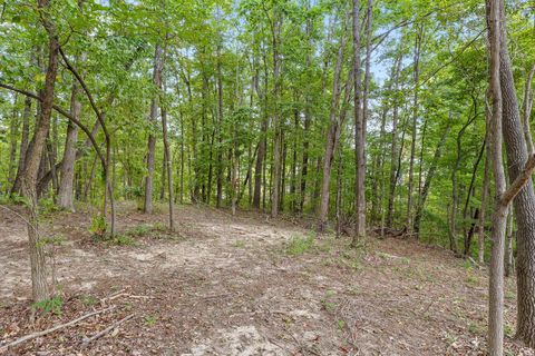 Tiny photo for 3274 River Gorge Drive, Chattanooga, TN 37419 (MLS # 1528543)