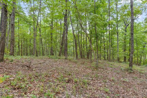 Tiny photo for 3274 River Gorge Drive, Chattanooga, TN 37419 (MLS # 1528543)