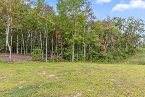 Tiny photo for 3274 River Gorge Drive, Chattanooga, TN 37419 (MLS # 1528543)