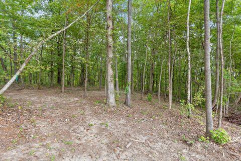 Tiny photo for 3274 River Gorge Drive, Chattanooga, TN 37419 (MLS # 1528543)