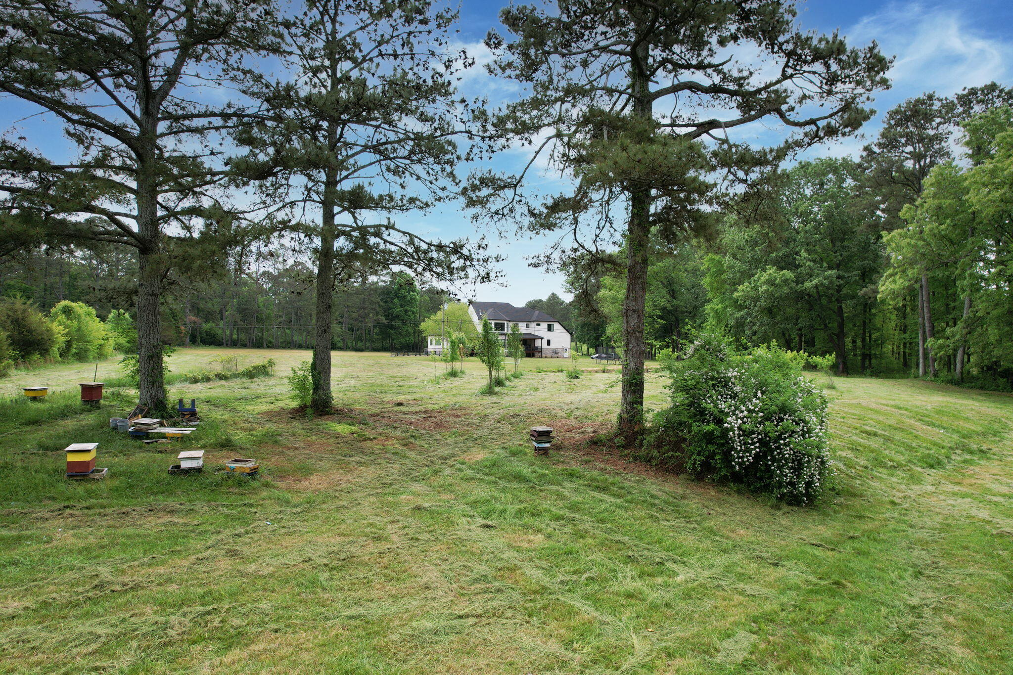 1530 Strawhill Road, Cleveland, Tennessee image 19