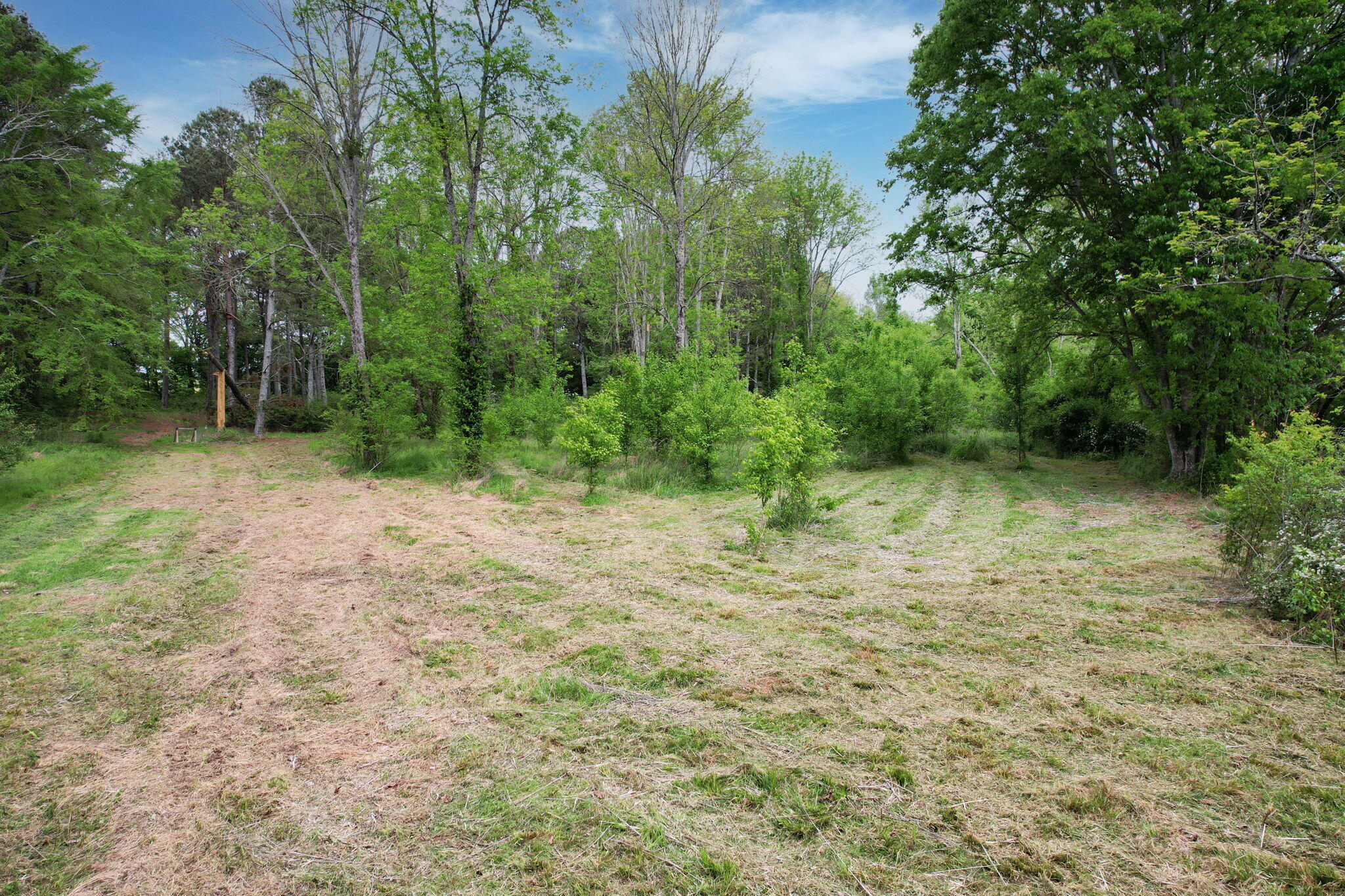 1530 Strawhill Road, Cleveland, Tennessee image 24