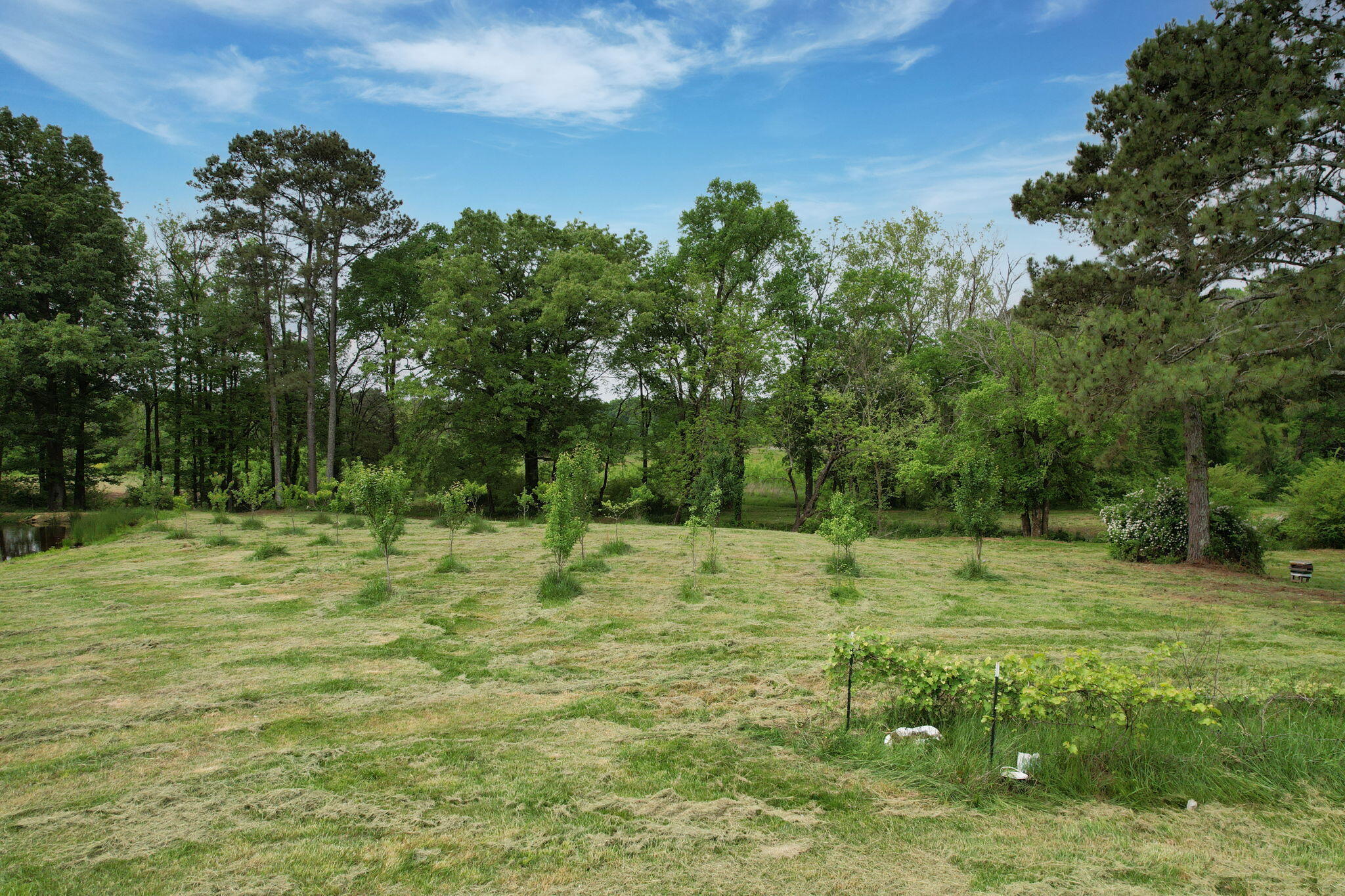 1530 Strawhill Road, Cleveland, Tennessee image 18