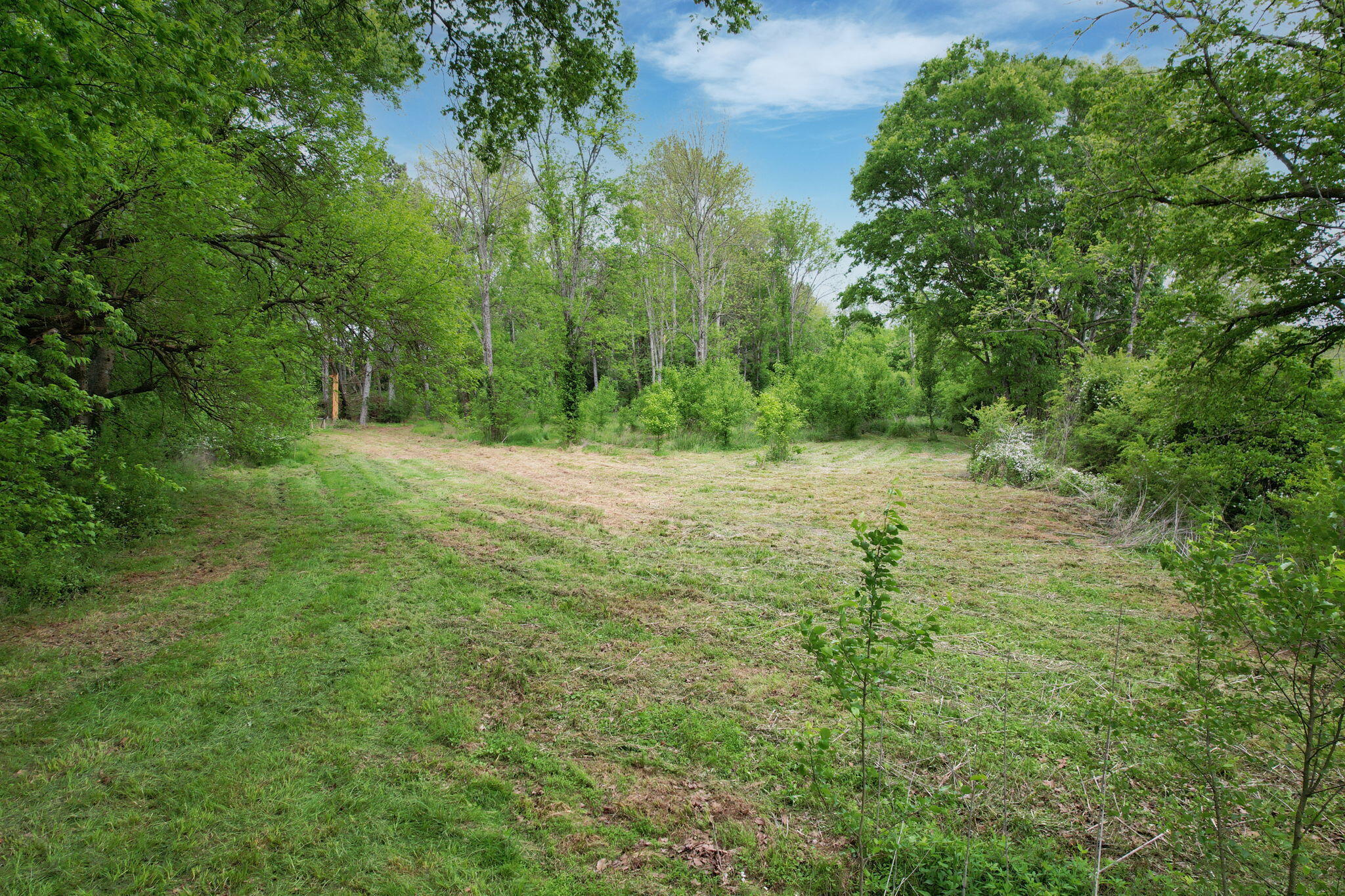 1530 Strawhill Road, Cleveland, Tennessee image 23
