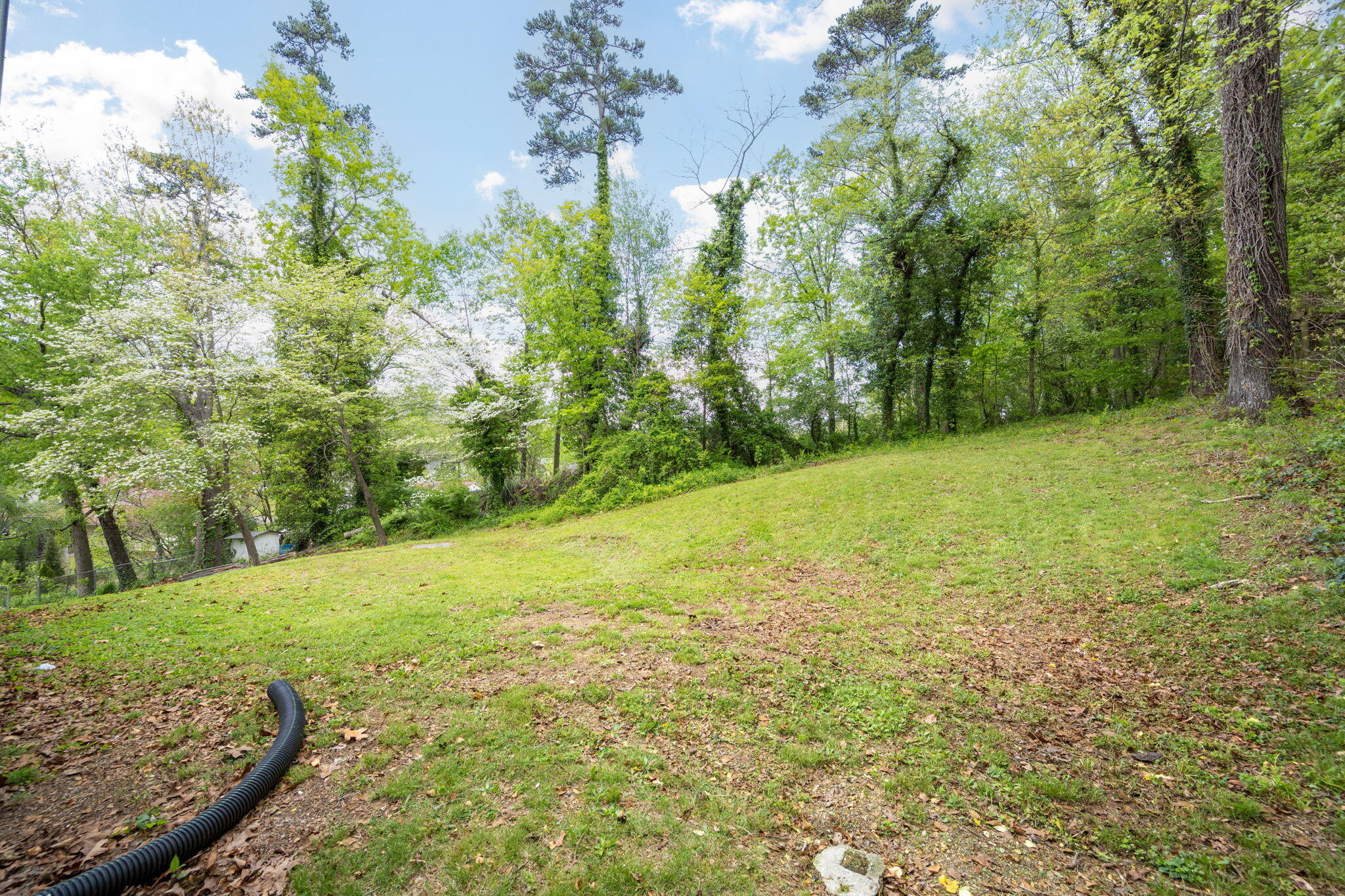 3671 Larry Lane, Chattanooga, Tennessee image 33