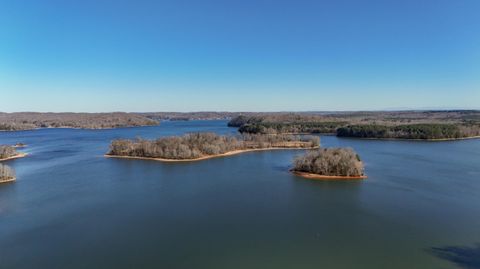 Tiny photo for 155 Dogwood Ln, Spring City, TN 37381 (MLS # 1527029)