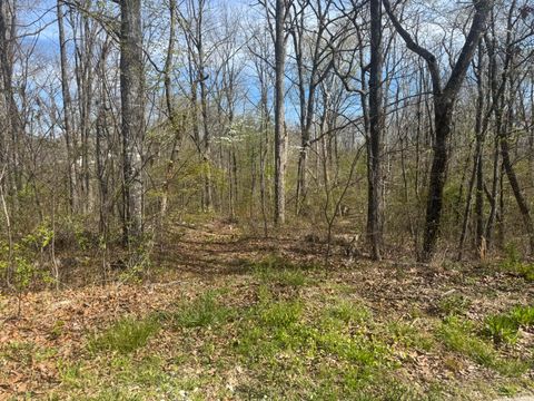 Photo of 2401 Anchor Trail, Signal Mountain, TN 37377 (MLS # 1532851)