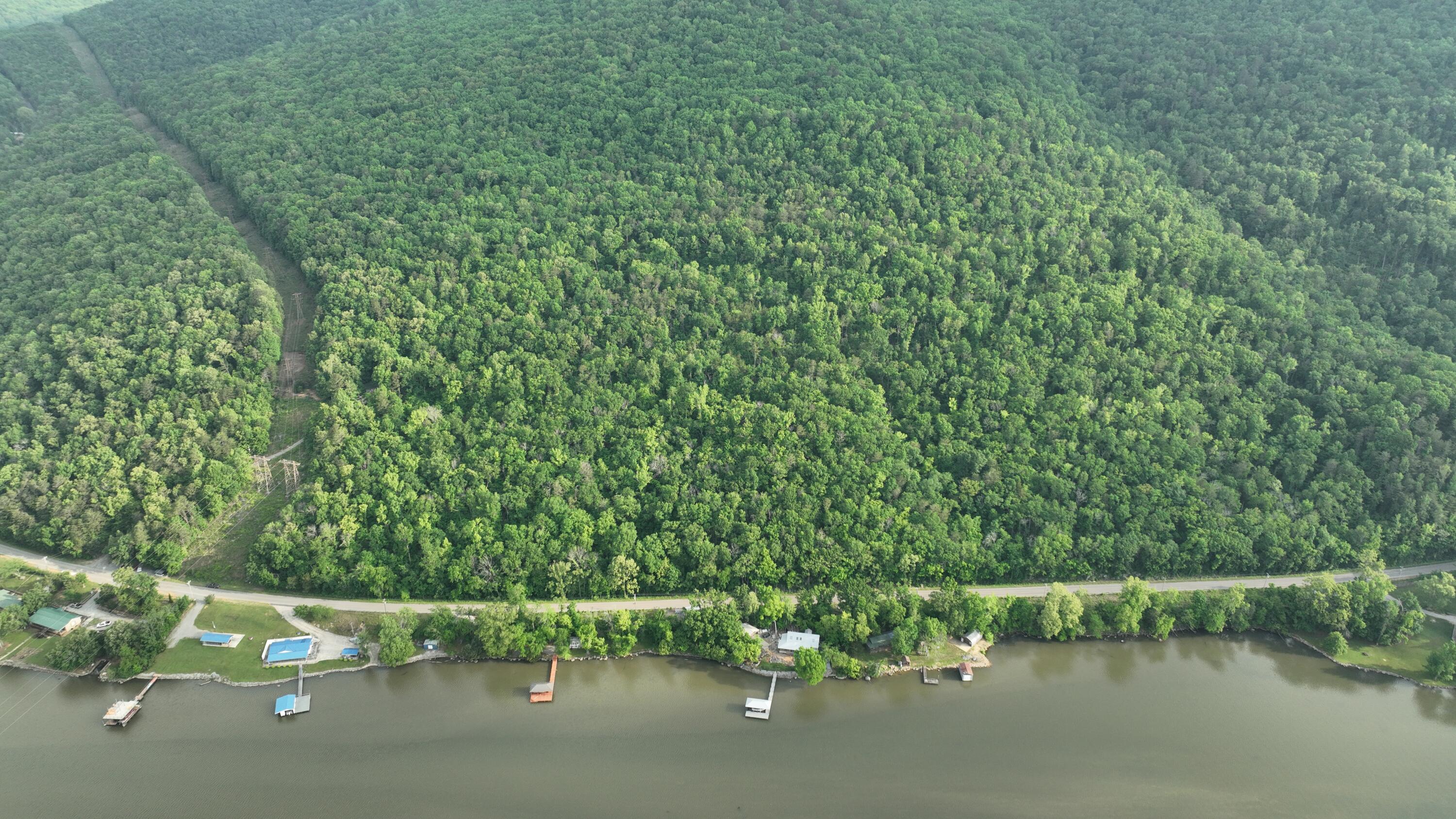- Mullins Cove Road, Whitwell, Tennessee image 4