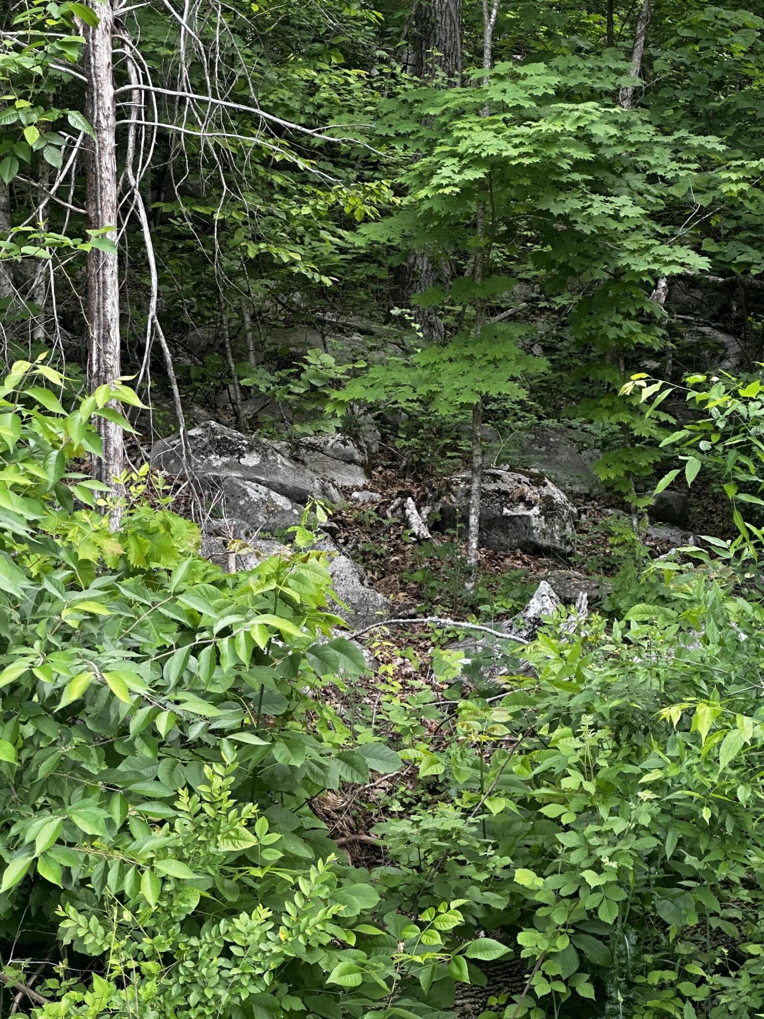 - Mullins Cove Road, Whitwell, Tennessee image 14