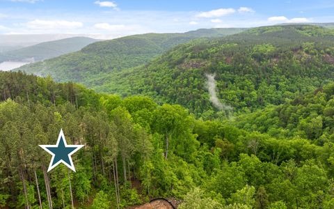 Tiny photo for Lot 1060 Birds Eye Way, Guild, TN 37340 (MLS # 1508696)