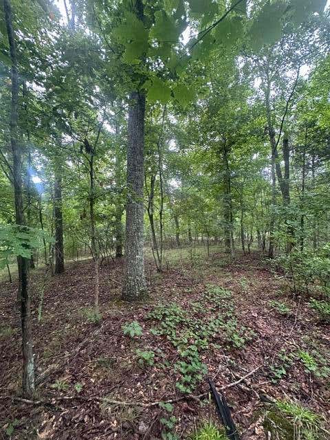 Vacant Land For Sale - LOT 108 Chesadu Circle Circle<br/> Marion County, South Pittsburg, TN 37380