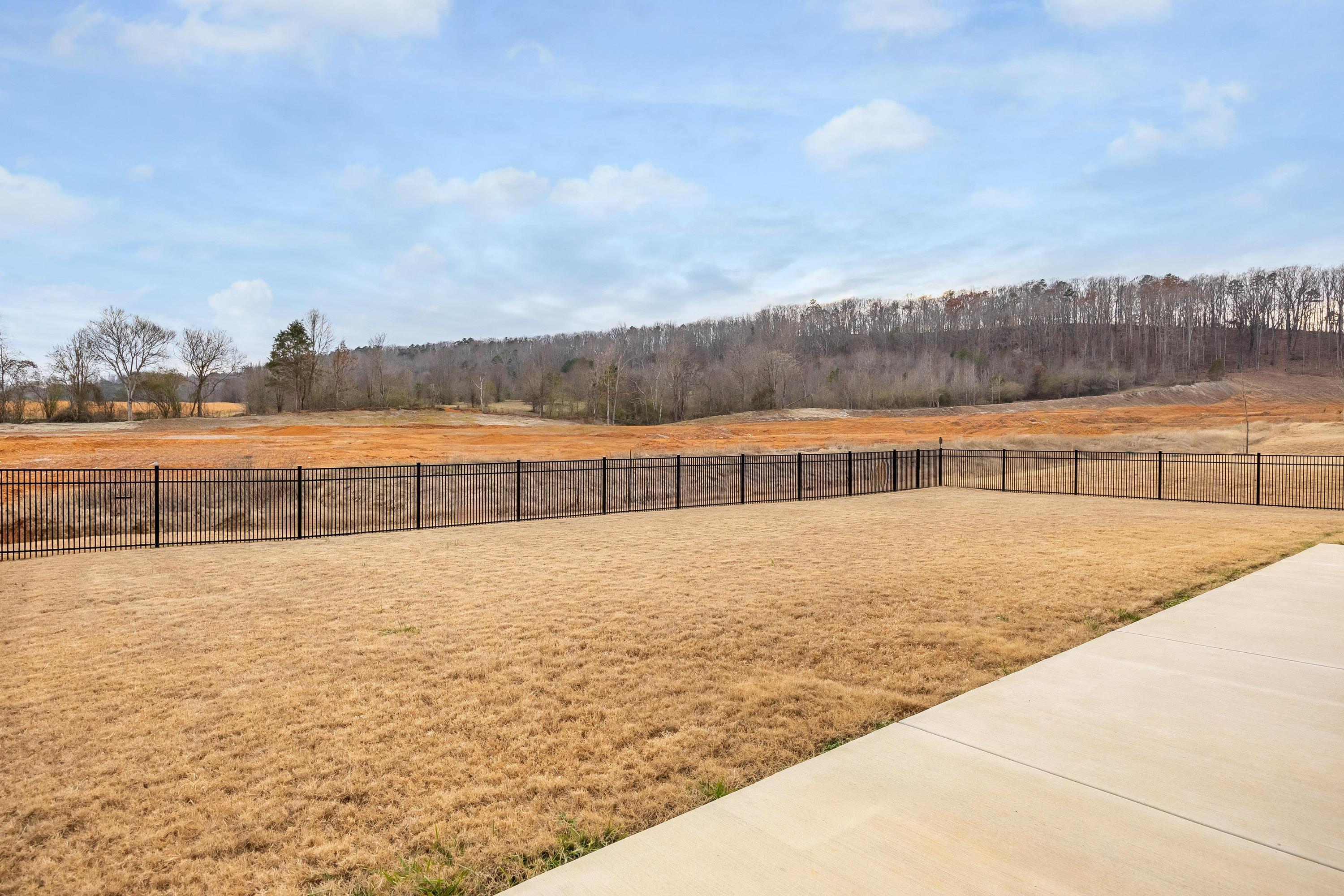 3305 Grassy Fields Lane, Apison, Tennessee image 15