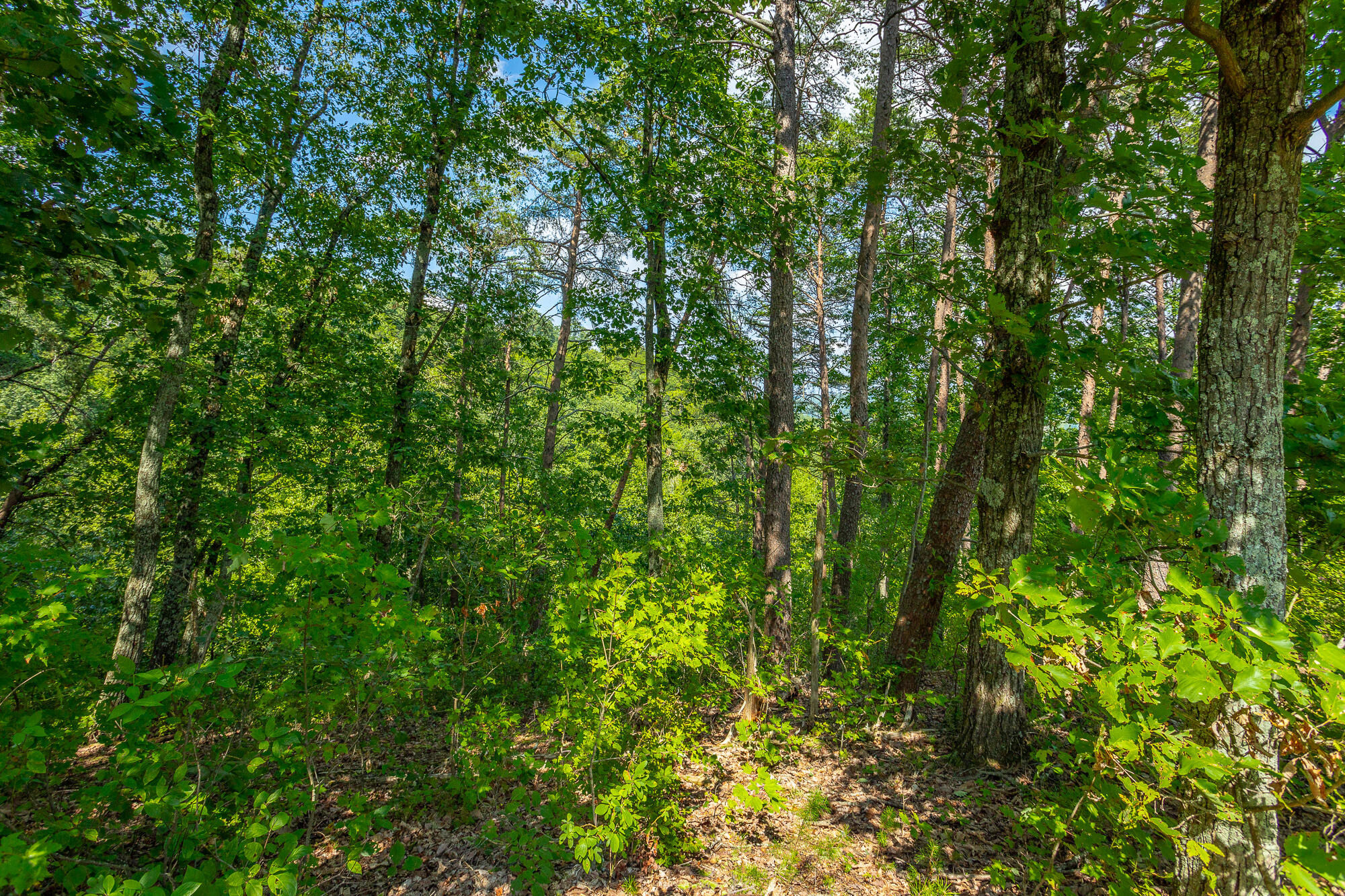 291 Mowbray Pike, Soddy Daisy, Tennessee image 18