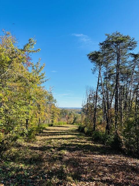 291 Mowbray Pike, Soddy Daisy, Tennessee image 2