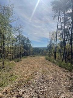 291 Mowbray Pike, Soddy Daisy, Tennessee image 33