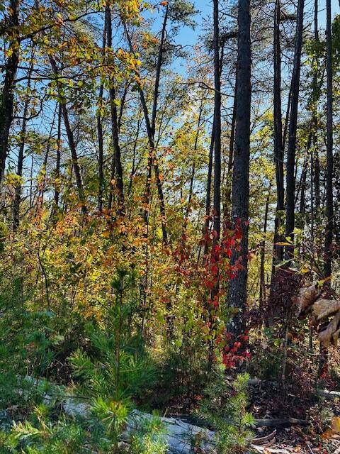 291 Mowbray Pike, Soddy Daisy, Tennessee image 3