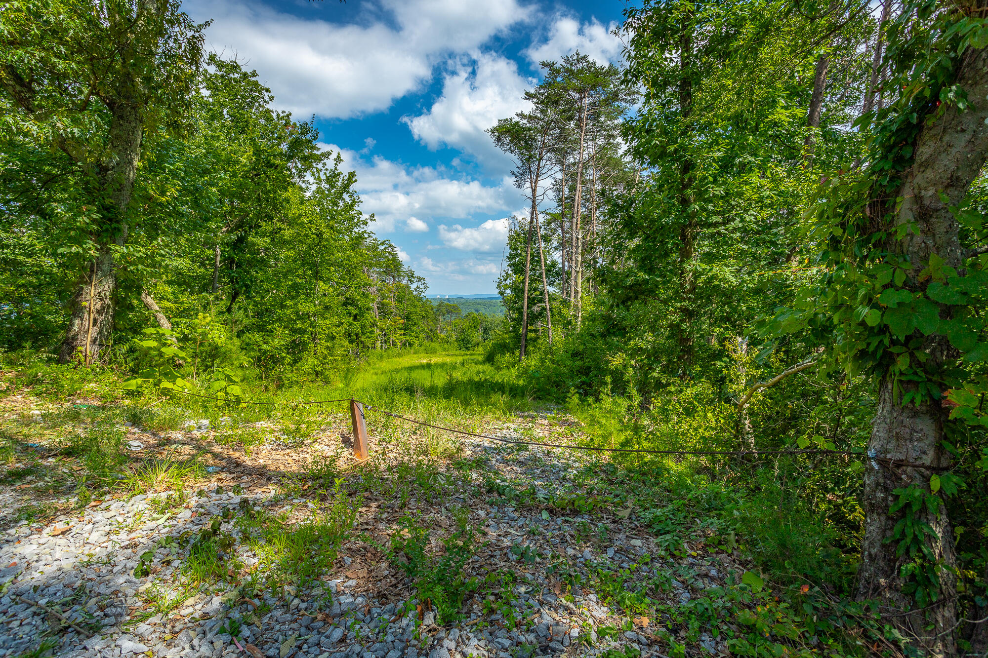 291 Mowbray Pike, Soddy Daisy, Tennessee image 10