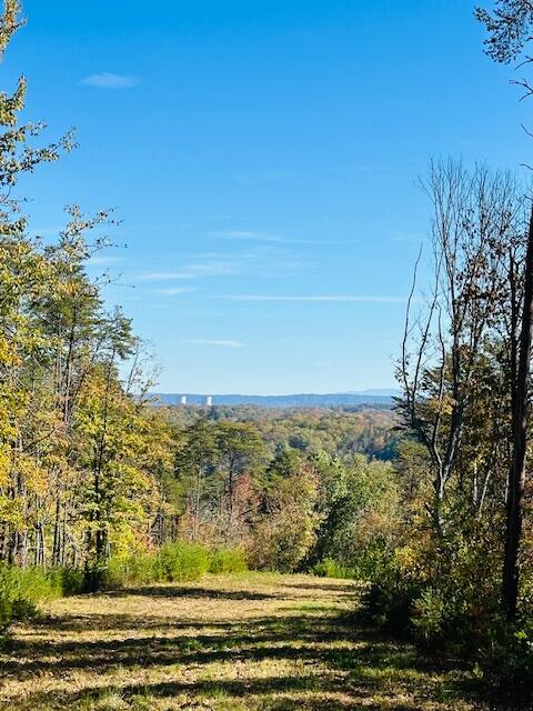 291 Mowbray Pike, Soddy Daisy, Tennessee image 5