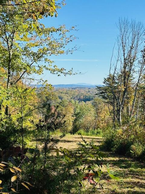 291 Mowbray Pike, Soddy Daisy, Tennessee image 4